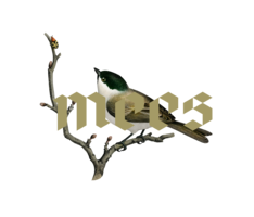 Logo Weingut Mees